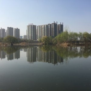 灃河老鐵野釣營 一方水域，一份野趣